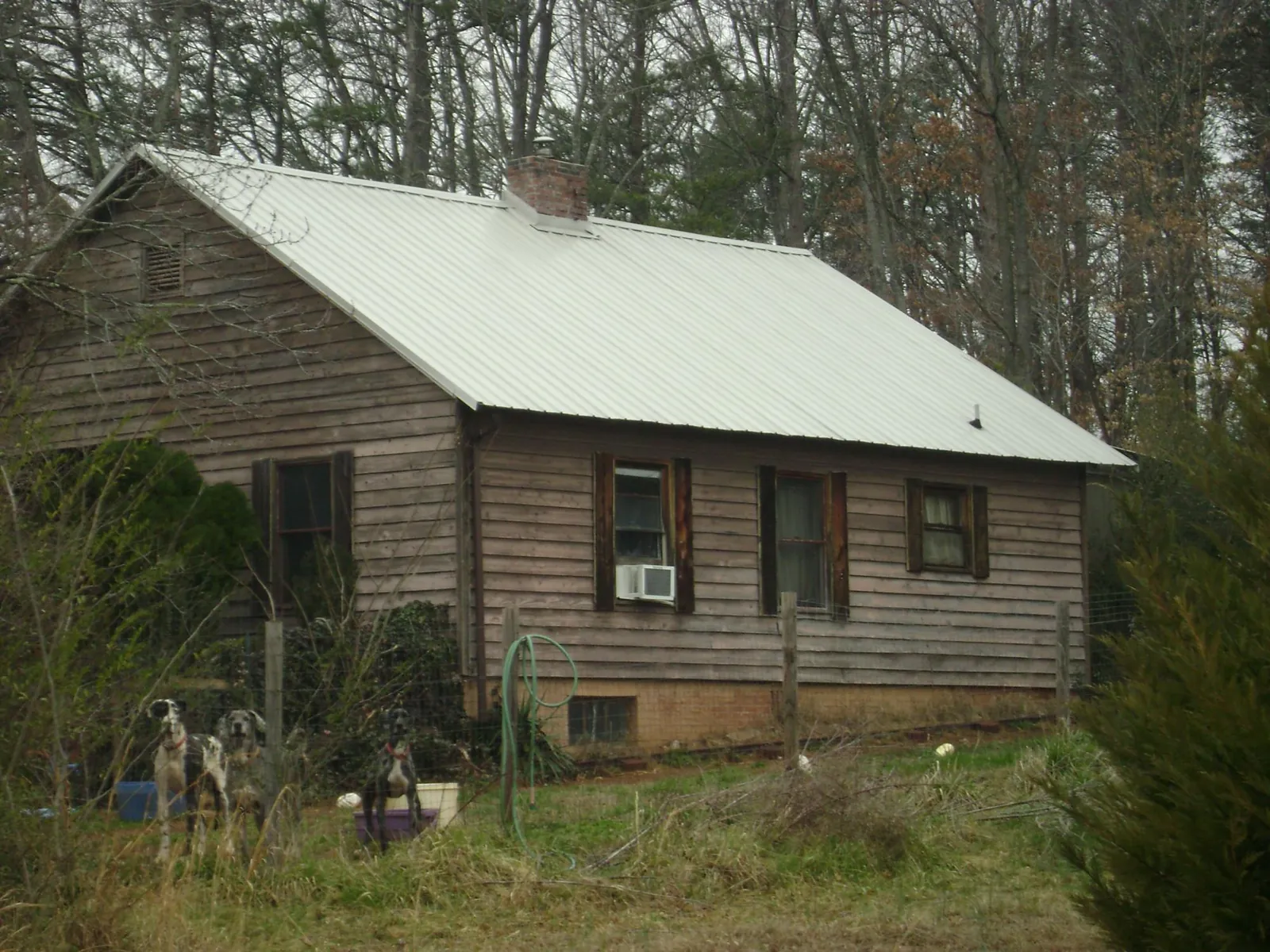 White metal roof on an old wood sided farmhouse, from a Asphalt Shingle Roof Repair job in Lusk